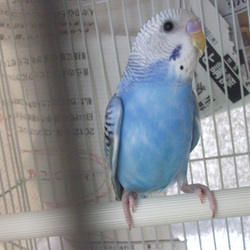 保護していてうれしいこと