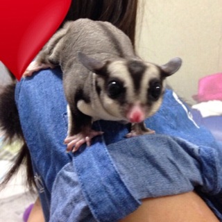 沢山の応募ありがとうございました。