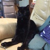 の写真