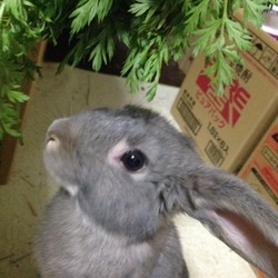 「生後３ヶ月になりました♪」サムネイル2