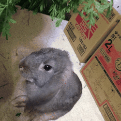 「生後３ヶ月になりました♪」サムネイル3