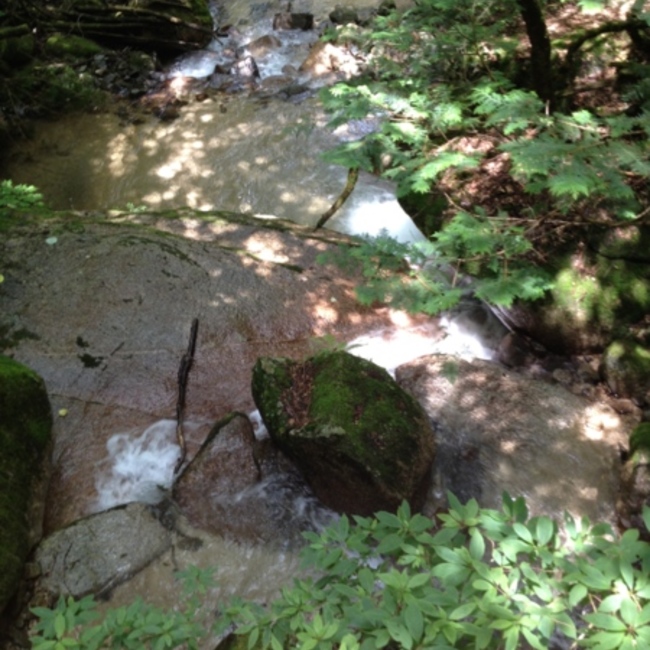 にゃーちんのカバー写真