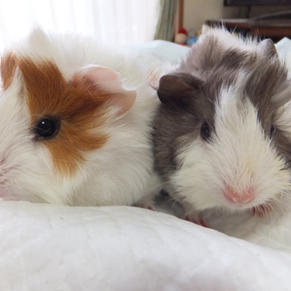 たくさんのご応募、ありがとうございました。