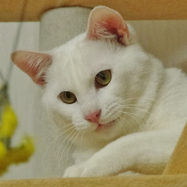 集中すると少しブス