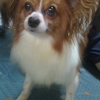 活発な女の子ハッピー！