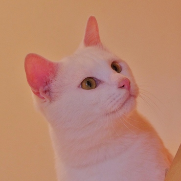 いたずら大好き