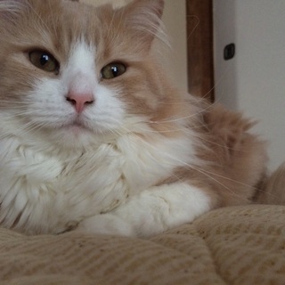 仕事で静岡にいくことになってしまい…