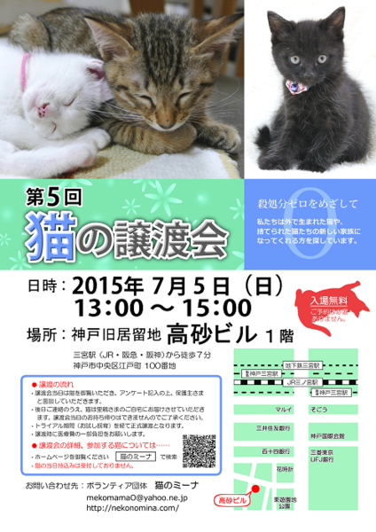猫の譲渡会 in 神戸三宮」（猫のミーナのイベント #217） :: ペットの 