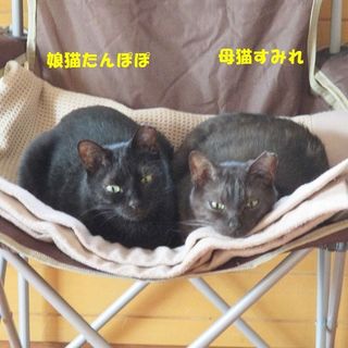 仲良し親子を一緒に！