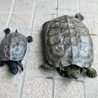 多数のご応募ありがとうございました。