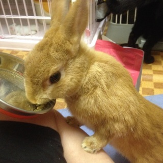 順番には対応させて頂いております