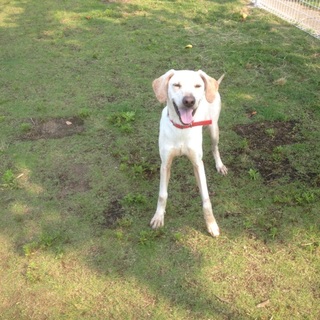 もう一度人間を信じて欲しい！