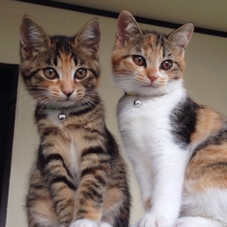 仲良しヤンチャ姉妹♡