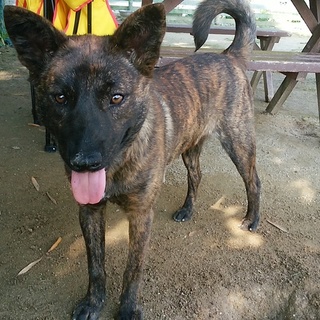 やんちゃ坊主かんた君