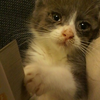 甘えん坊で優しい男の子です！