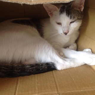 面倒見のいい子