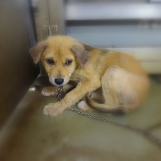 愛くるしいお顔のドナルドくん！