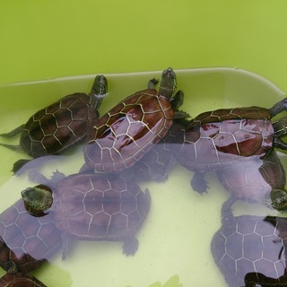 皆様ありがとうございました