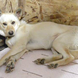 「エリーです」サムネイル2