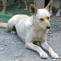 「エリーです」サムネイル3