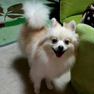 【応募多数のため、一旦募集一時停止します】