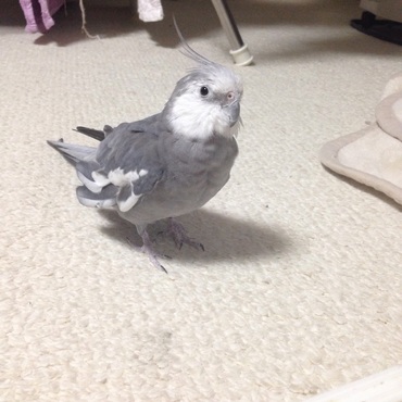 散歩中