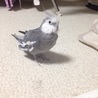 散歩中