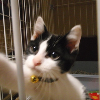 ありがとうございました！「オセロ」ちゃん♪