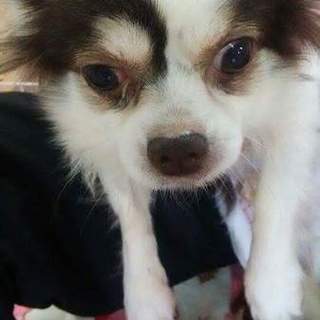 トライアルになりました。有り難うございます