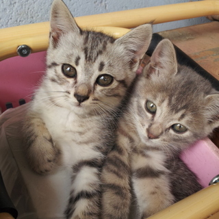 綺麗な瞳色の兄弟です♪