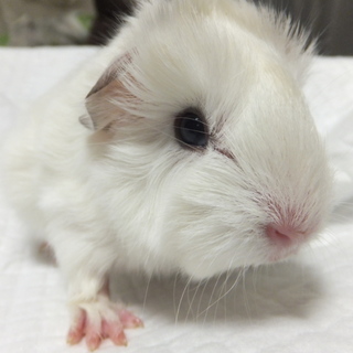 たくさんのご応募、ありがとうございました。