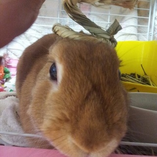 沢山のご連絡ありがとうございました。