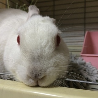 沢山のご連絡ありがとうございました。