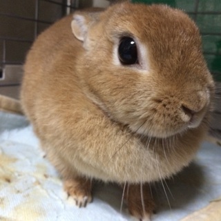 沢山のご連絡ありがとうございました。