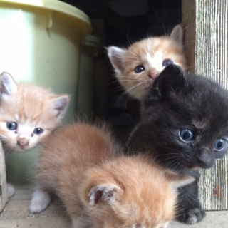 生後１ヶ月！殺人的かわいさです！！