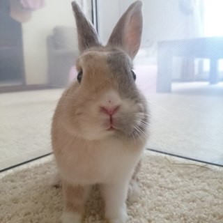 決まりました。