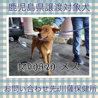 この子の命を救ってください。