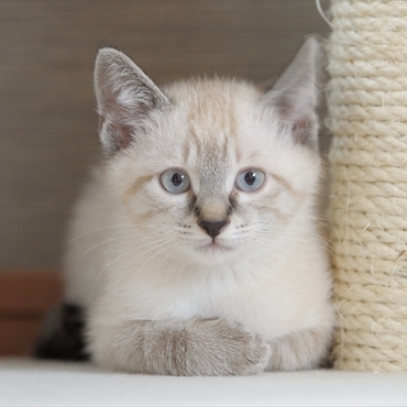 町より一回り大きいみたい…