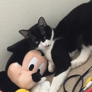 黒白甘えん坊ちゃん(⁎˃ᆺ˂)