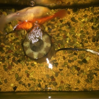 ありがとうございました。