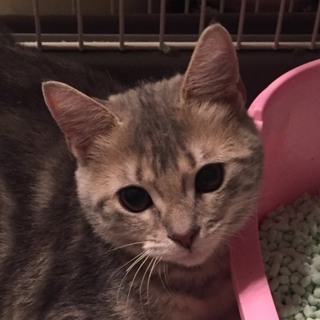 素敵なご一家にめぐり合うことができました！