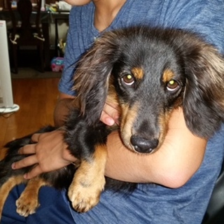 レオ君と一緒に居てくれる人