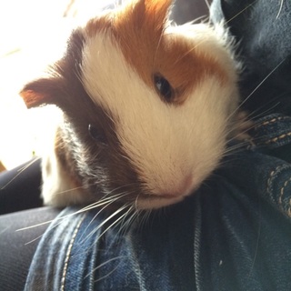 1歳の女の子美人さんです