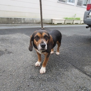 新しい家族ができました！！