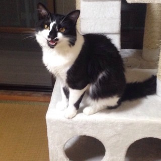 1歳の甘えん坊な男の子です！（＾＾）