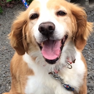 笑顔がチャームポイント♡穏やかなりんちゃん