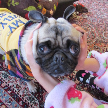 ブルースの写真