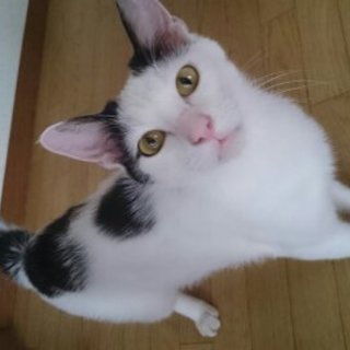 甘えん坊さんです。