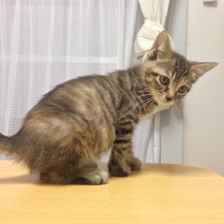 ニア♡甘えん坊