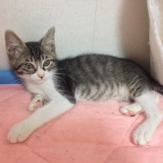 エル✩元気男子